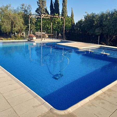 Chalet Con Piscina Lua Home Manises Dış mekan fotoğraf